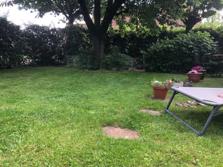 Smart Home Irrigation
