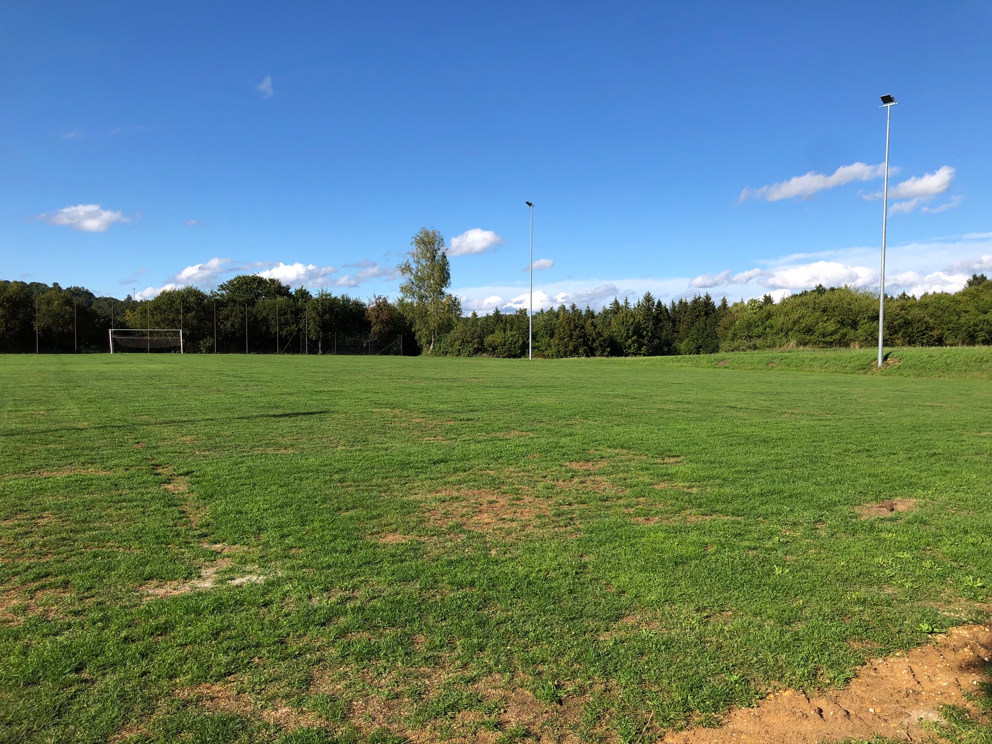 Fußballplatz direkt nach der Verlegung der IRRIGATECS® Bewässerung, Verlegespuren im Rasen sichtbar